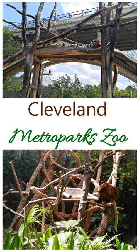 how much are cleveland zoo tickets at discount drug mart